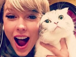 BREAKING : Taylor Swift addressed a fan’s criticism about her frequent kisses and public appearances with her cat, stating, “I can’t be without my cat, Travis.” She emphasized the significant role her…See More